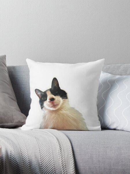 Vista previa del artículo con la obra «Adorable gato bicolor Rumi: ilustración de mascota adorable», diseñado y vendido por pagebunny.