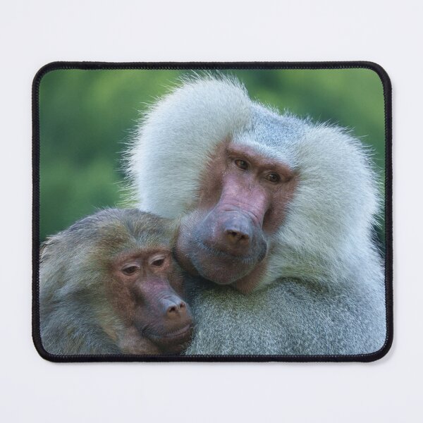 Item preview, Tender Baboon Bond designed and sold by rawshutterbug.