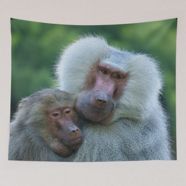 Item preview, Tender Baboon Bond designed and sold by rawshutterbug.