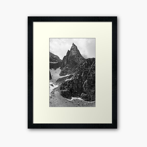 Framed Art Print