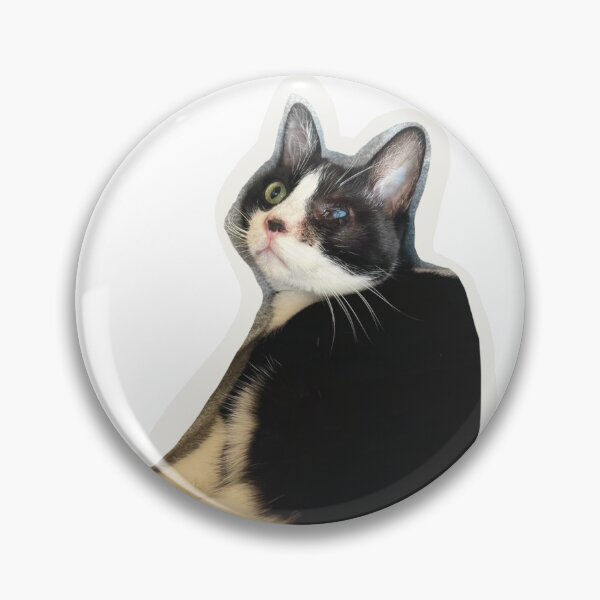 Item preview, Derpy Bicolor Cat Rumi – Cute and Funny Pet Art designed and sold by pagebunny.