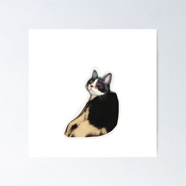 Item preview, Derpy Bicolor Cat Rumi – Cute and Funny Pet Art designed and sold by pagebunny.