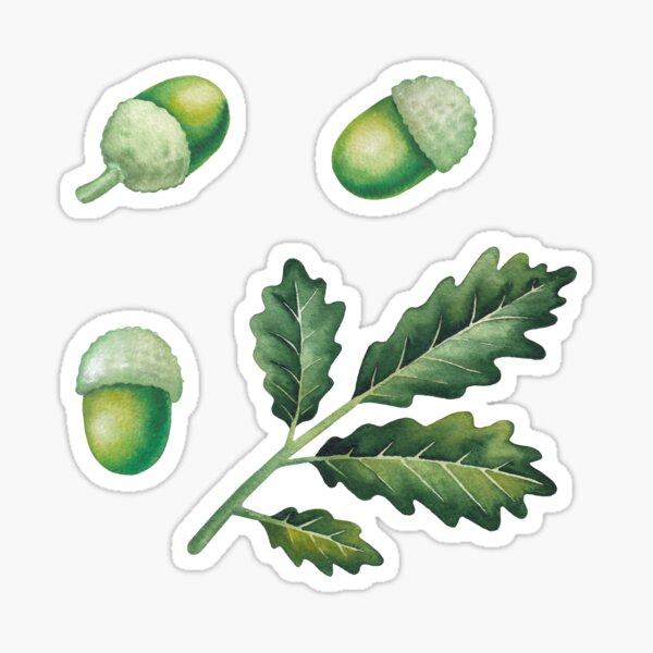 Item preview, Watercolor Oak Leaves and Acorns designed and sold by Ekaterina Glazkova.
