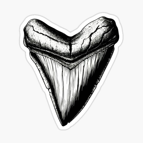 Item preview, Megalodon tooth designed and sold by Grypis.