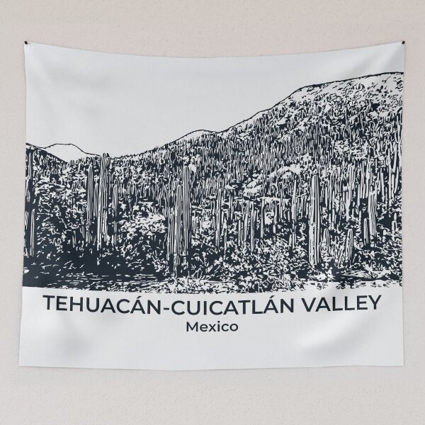 Item preview, Tehuacán-Cuicatlán Valley - Mexico designed and sold by Lakeric.