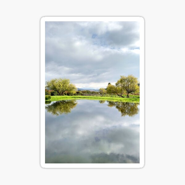 Item preview, Trees Mirrored In The Still Water designed and sold by Ashley Beckton.
