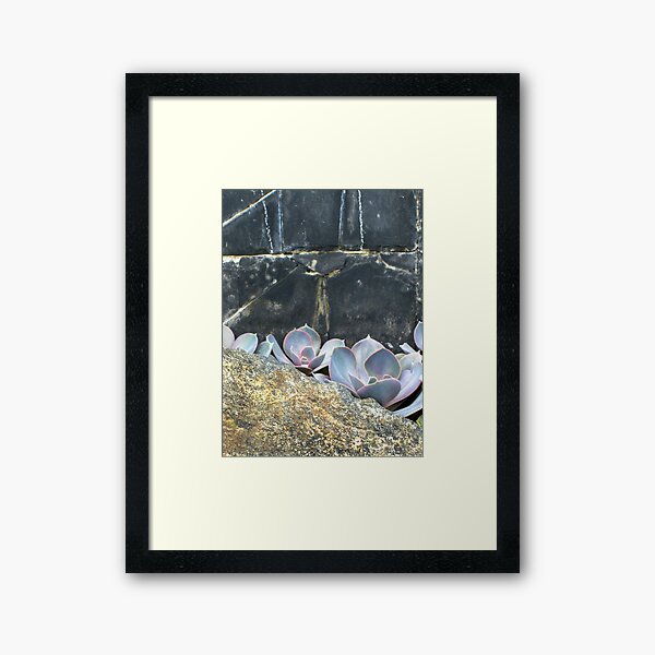 Flower on slate Framed Art Print