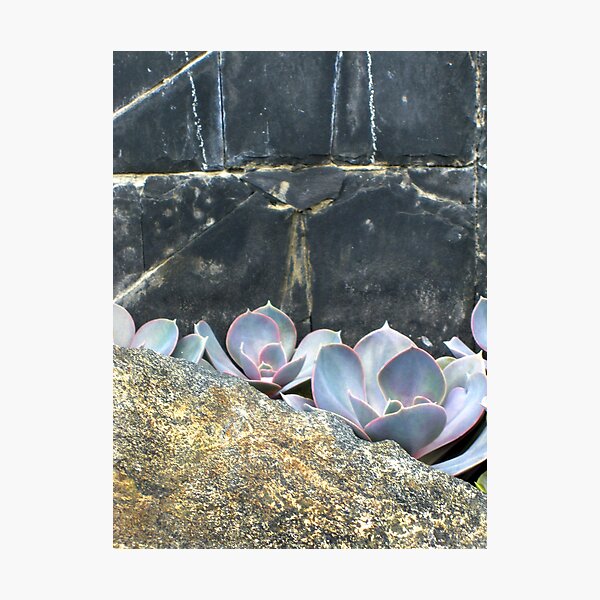Item preview, Flower on slate designed and sold by sadeyedartist.