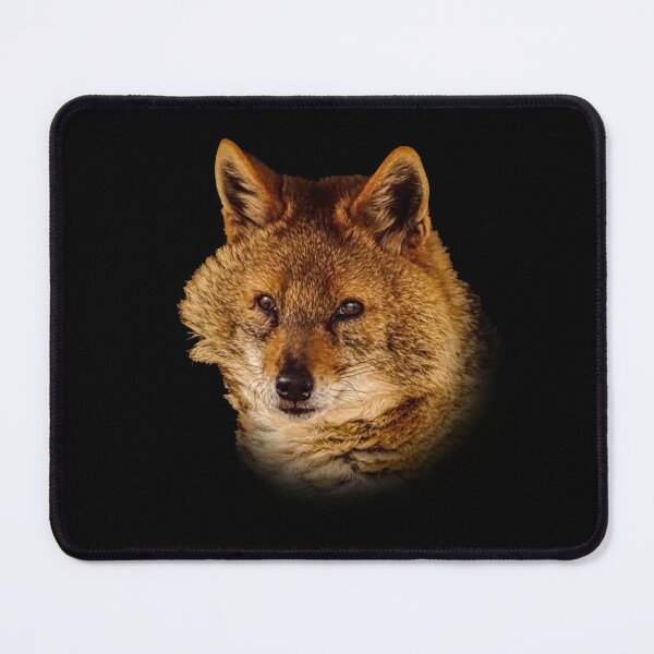Item preview, Golden Jackal designed and sold by Guardi71.