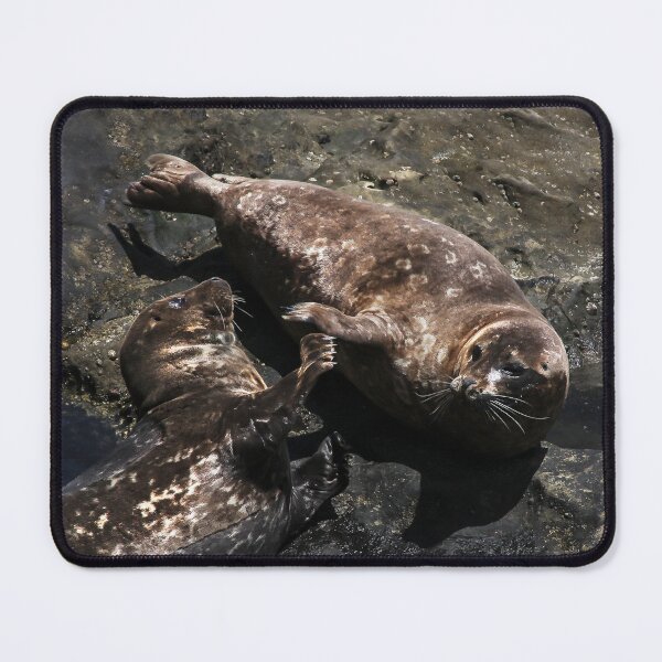 Item preview, Play Time! designed and sold by heatherfriedman.