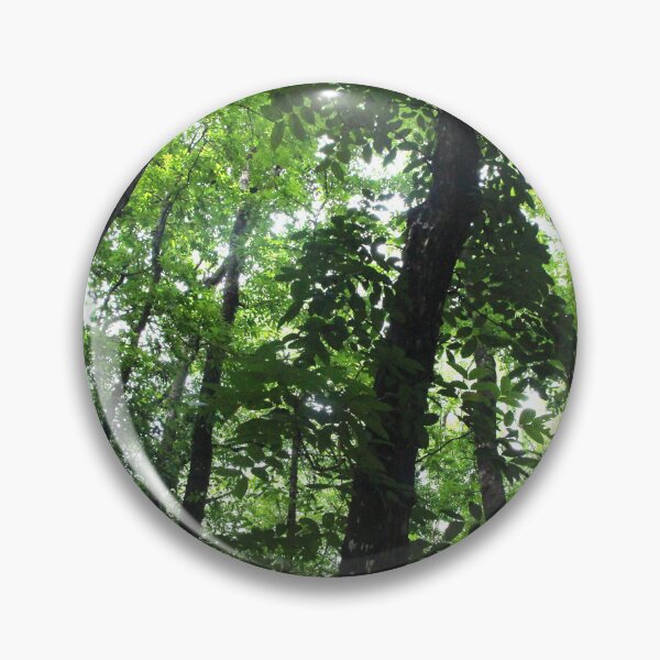 Artikelvorschau, Philippines Forest entworfen und verkauft von Ramano-drawing.