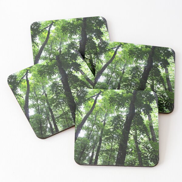 Item preview, Philippines Forest designed and sold by Ramano-drawing.