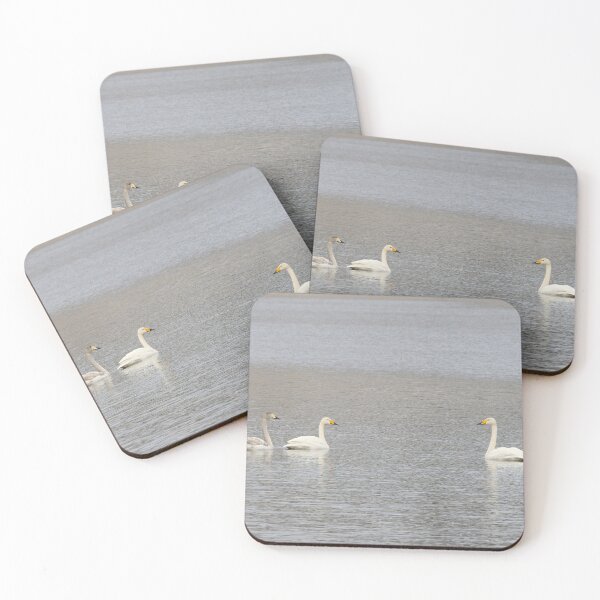 Item preview, Old family. Whooper swan designed and sold by Jouko Lehto Photography.