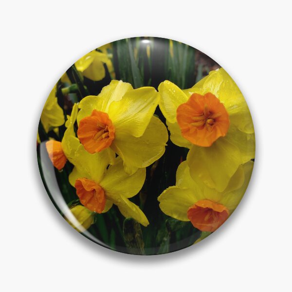 Item preview, Floral - After the Rain Daffodils by  Wagonesta  designed and sold by Wagonesta.