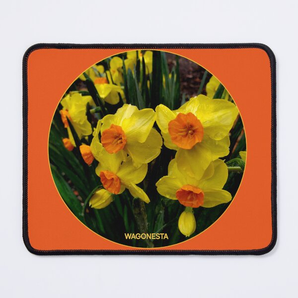 Item preview, Floral - After the Rain Daffodils by  Wagonesta  designed and sold by Wagonesta.