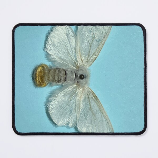 Item preview, Browntail Moth designed and sold by Browntail Moth Hater.