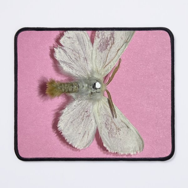 Item preview, Male Browntail designed and sold by Browntail Moth Hater.