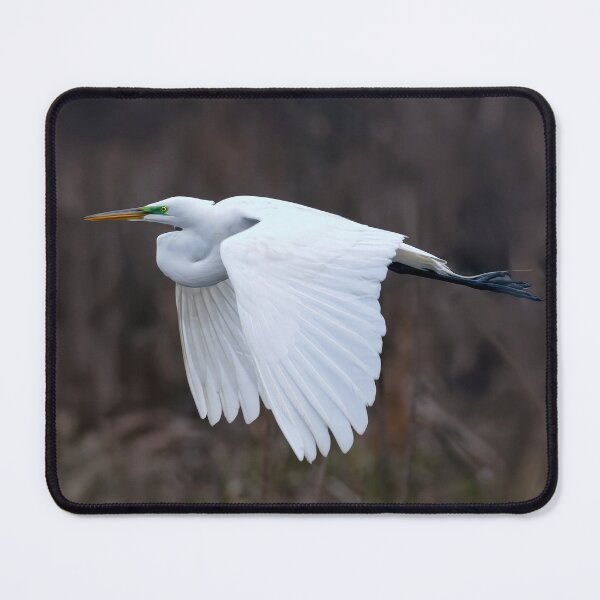 Item preview, Great Egret designed and sold by Tom McPherson Photography.