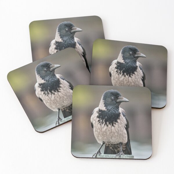 Item preview, Hooded Crow designed and sold by Tom McPherson Photography.