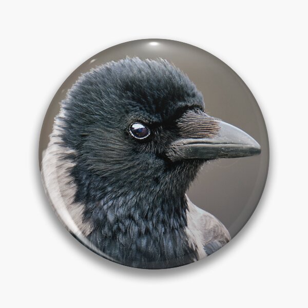 Item preview, Hooded Crow designed and sold by Tom McPherson Photography.