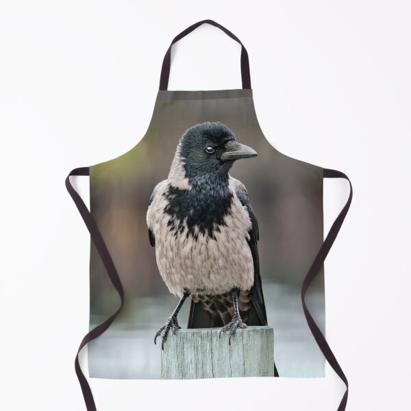 Item preview, Hooded Crow designed and sold by Tom McPherson Photography.