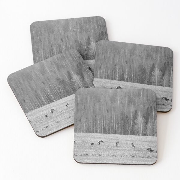 Item preview, All the family. Roe deer bw designed and sold by Jouko Lehto Photography.