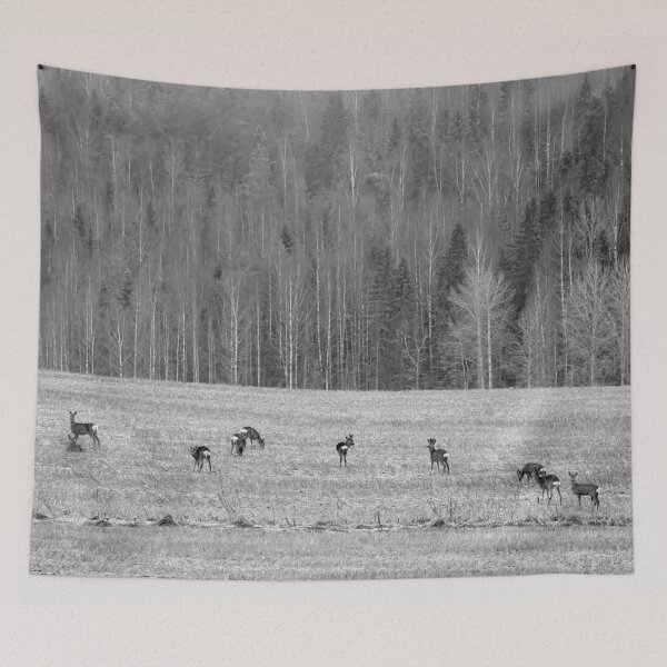 Item preview, All the family. Roe deer bw designed and sold by Jouko Lehto Photography.