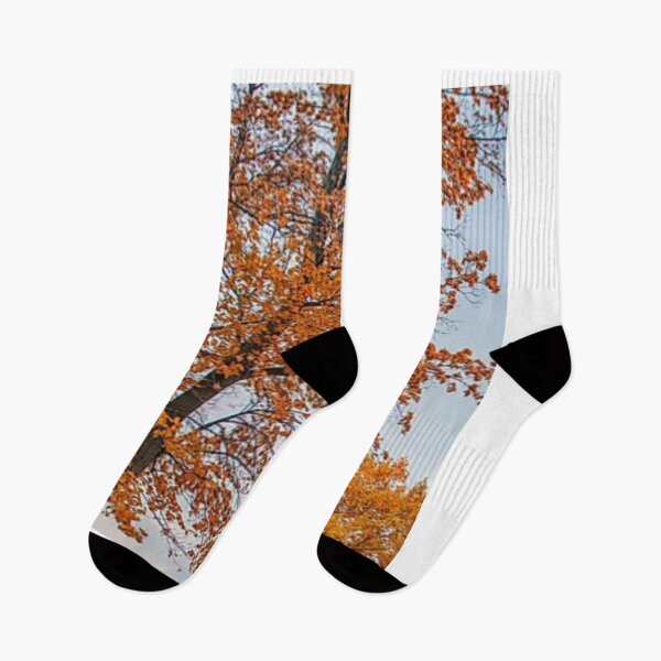 Item preview, SUGAR MAPLE COLORFUL ORANGE TALL TREE BLUE SKY designed and sold by Shelbineshop.