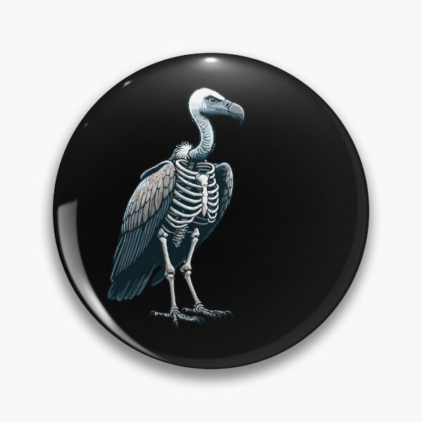 Artikelvorschau, Röntgenaufnahme des Körpers eines Geiers, Anatomie, Röntgenaufnahme des Skeletts entworfen und verkauft von Artistoos.