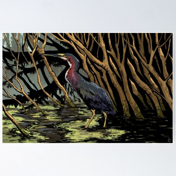 Item preview, Green Heron designed and sold by tytoquetra.