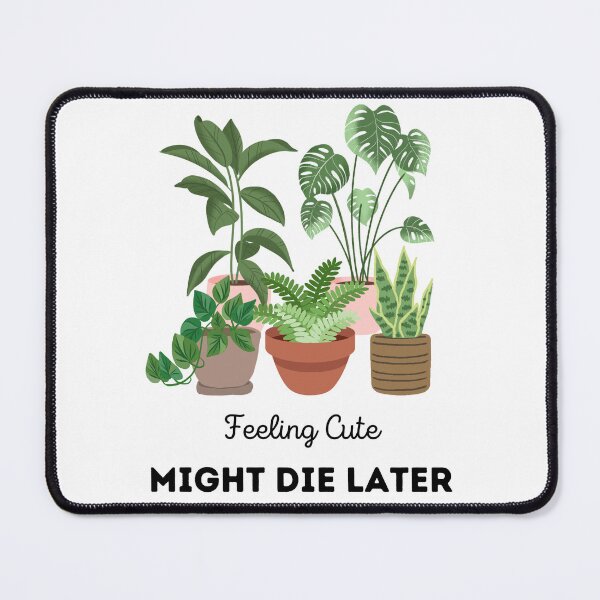 Item preview, Felt Cute Might Die Later designed and sold by JettieDesignCo.