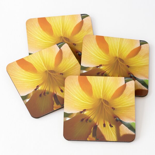 Item preview, Focus on the Lily Stamens designed and sold by jaynerushton.