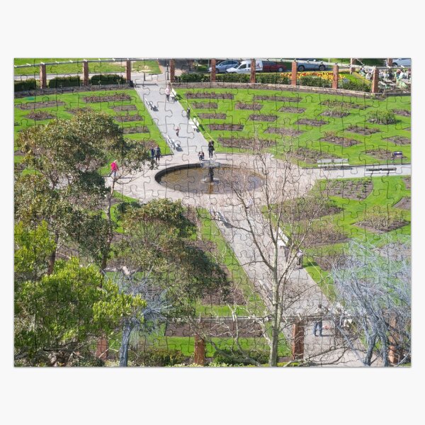 Artikel-Vorschau von Lady Norwood Rose Garden Wellington Botanic Garden Ruhige malerische Aussicht, designt und verkauft von Michael McGimpsey.