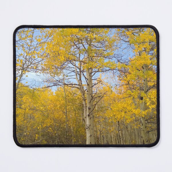 Item preview, Colorado colors designed and sold by Chaizenshop.