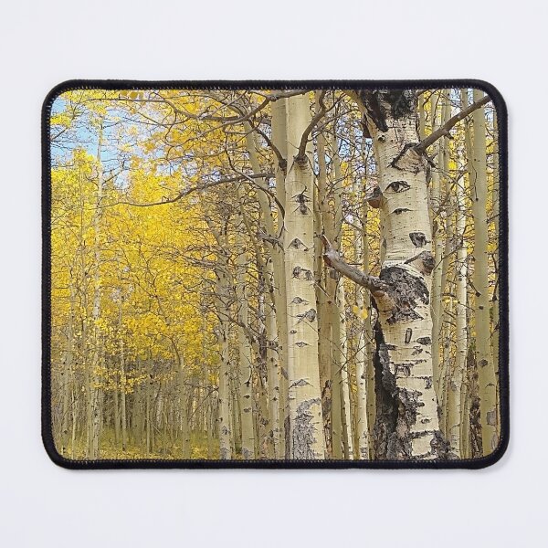 Item preview, Aspens of Gold designed and sold by Chaizenshop.