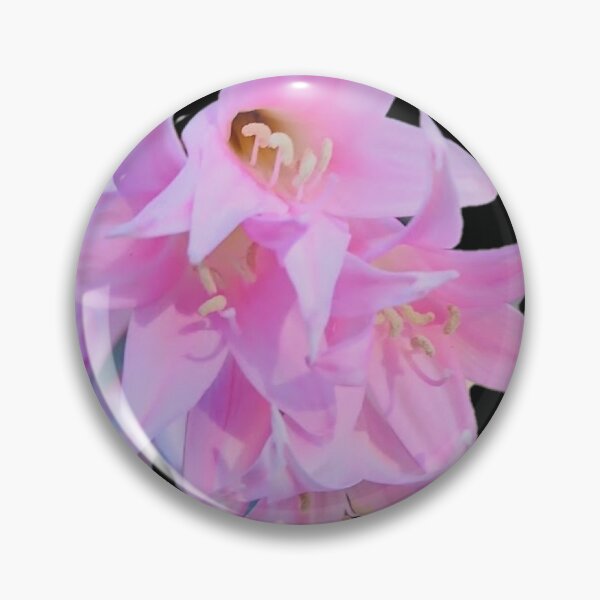 Item preview, Naked Lady Flowers (belladonna Lily) black bg designed and sold by Lizzilzil.