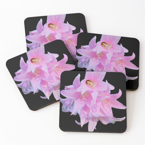 Item preview, Naked Lady Flowers (belladonna Lily) black bg designed and sold by Lizzilzil.