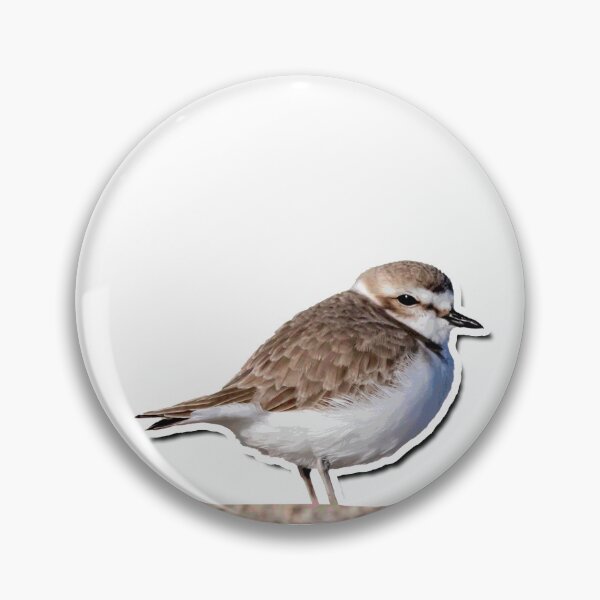 Item preview, Snowy Plover designed and sold by hoopdajon.