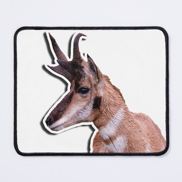 Item preview, Pronghorn designed and sold by hoopdajon.