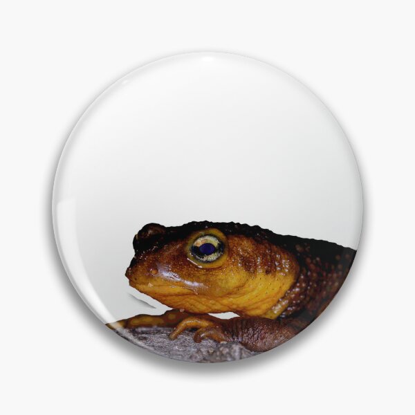 Item preview, California Newt designed and sold by hoopdajon.