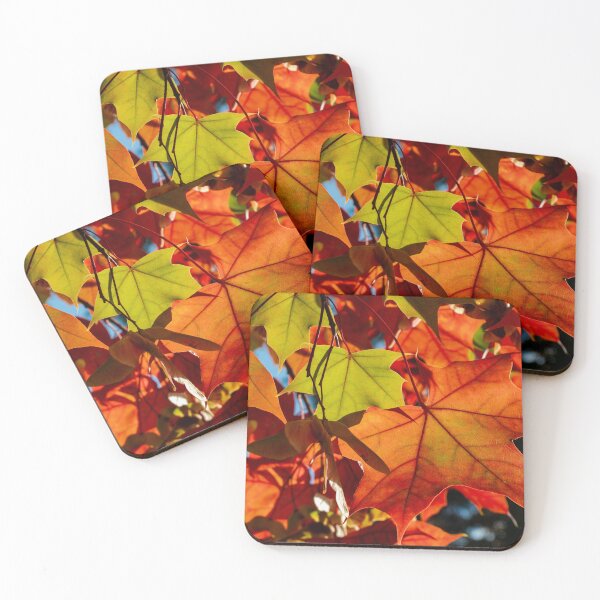 Item preview, Backlit fall leaves against the sky designed and sold by lisavonbiela.