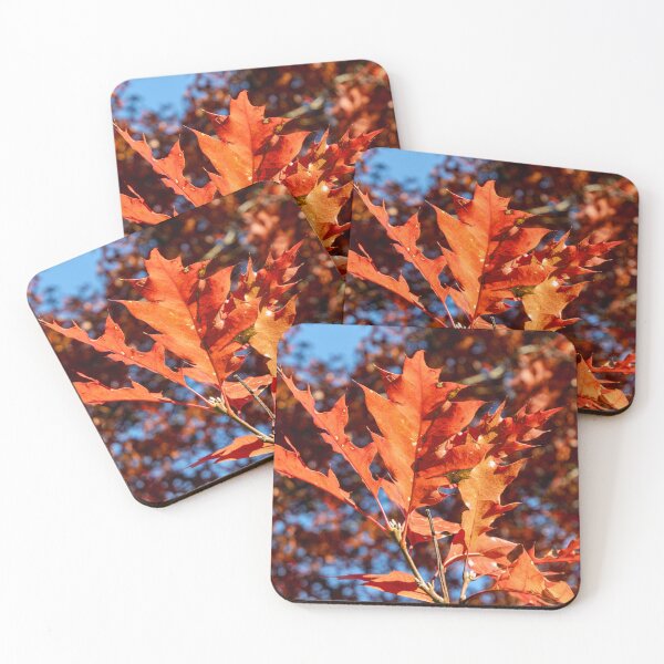 Item preview, Backlit fall leaves in a nearby park designed and sold by lisavonbiela.