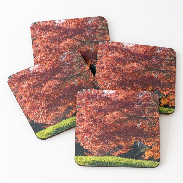 Item preview, Backlit fall tree and grassy hill designed and sold by lisavonbiela.