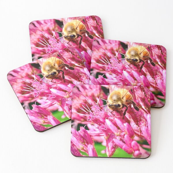 Item preview, Friendly bee on Joe pye plant designed and sold by DaniFoto.