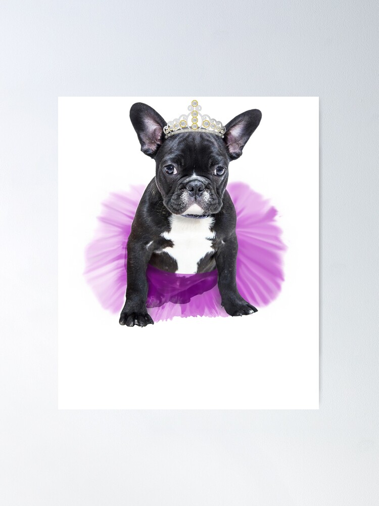 French bulldog gifts for clearance him