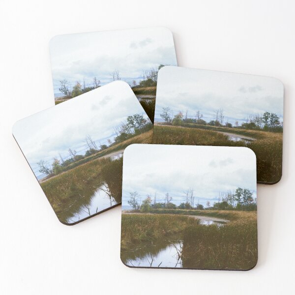 Item preview, Rattray Marsh Conservation Area 35mm Photograph designed and sold by Lake Shore Prints.
