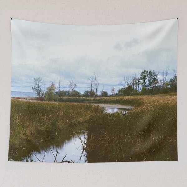 Item preview, Rattray Marsh Conservation Area 35mm Photograph designed and sold by Lake Shore Prints.