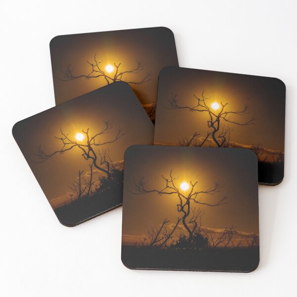 Item preview, Sun Setting Through Dead Tree at Bosum Beach designed and sold by Jayne Ion.