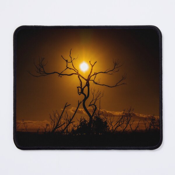 Item preview, Sun Setting Through Dead Tree at Bosum Beach designed and sold by Jayne Ion.