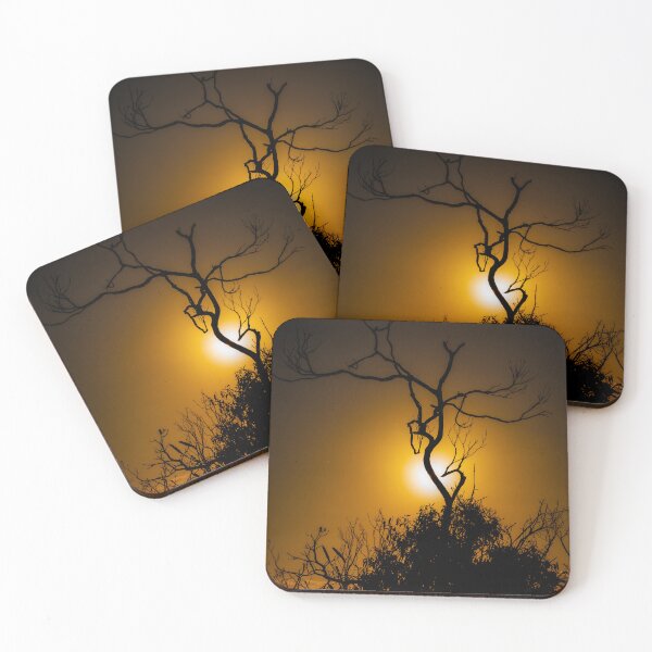 Item preview, Sunset Through Tree in Currarong, Beecroft Peninsula, NSW Australia designed and sold by Jayne Ion.